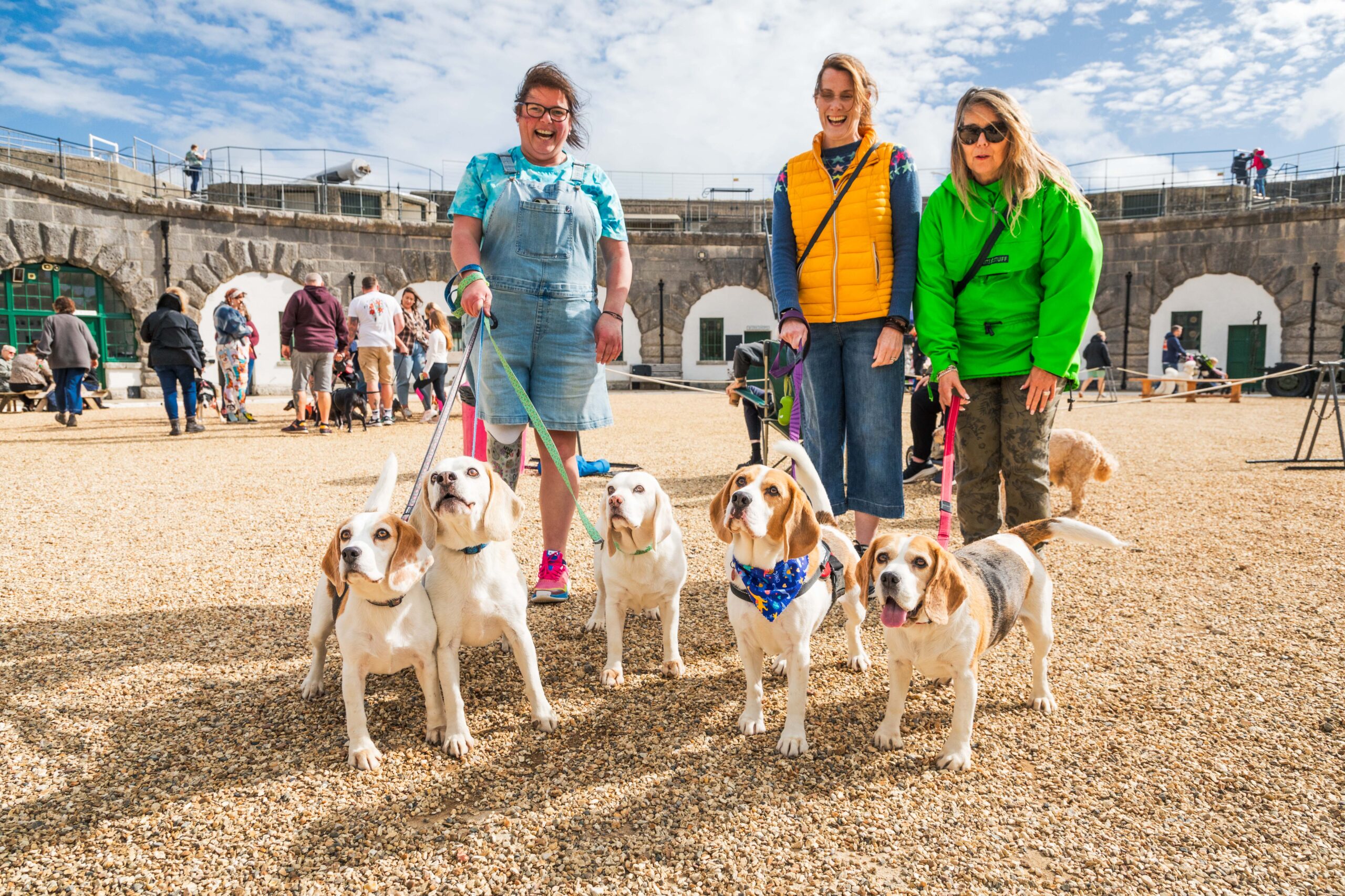 9D1A5132 Three adults are walking 5 beagle type dogs around the Parade Ground on a sunny day.