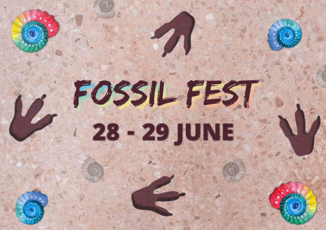 FOSSIL FEST (1) A sandy background with four bright coloured ammonite fossils and four dinosaur footprints surround text that reads FOSSIL FEST 28-29 JUNE