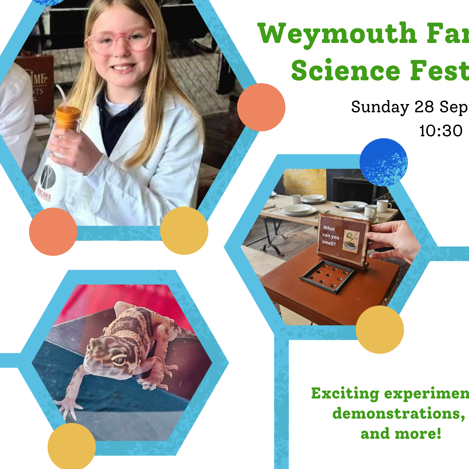A square tile image with a white background. The image has three hexagon images surrounded by a blue border and atom-like structures. The images include children watching a water based experiment, a child posing with a scientist in a lab coat, and a lizard climbing on a box. The text reads Weymouth Family Science Festival Sunday 28 September 10:30-16:00 Exciting experiments, demonstrations, and more!