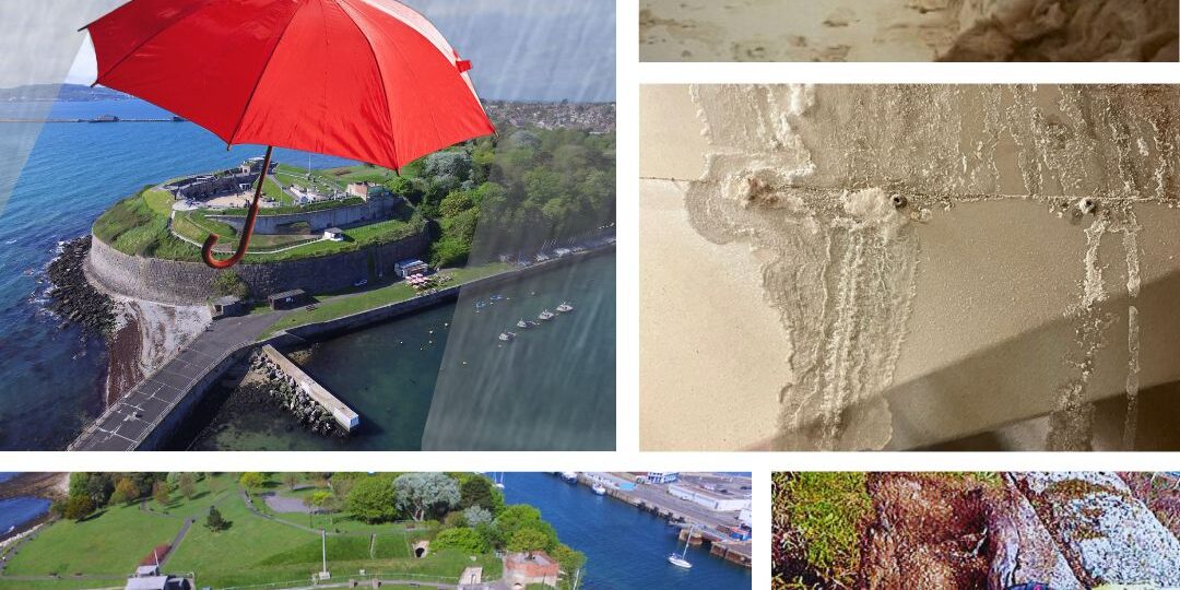 A collage showing aerial views of Nothe Fort, water damage inside the fort’s interior walls, a volunteer working in the ground outside, and a red umbrella floating above the fort as a symbol of protection from rain.
